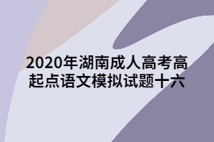 2020年湖南成人高考高起點(diǎn)語文模擬試題十六