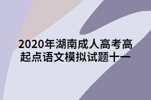 2020年湖南成人高考高起點(diǎn)語(yǔ)文模擬試題十一