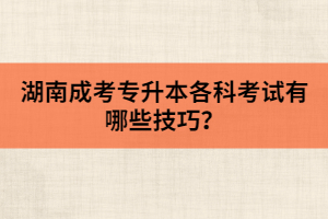 湖南成考專升本各科考試有哪些技巧？