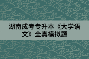 湖南成考專升本《大學(xué)語文》全真模擬題（三）