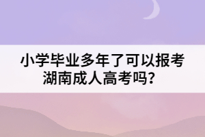 小學(xué)畢業(yè)多年了可以報考湖南成人高考嗎？