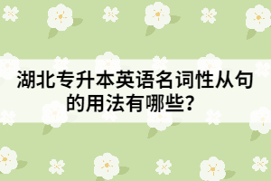 湖北專升本英語名詞性從句的用法有哪些？