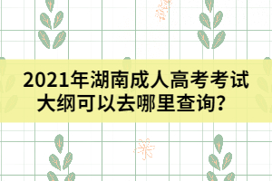 2021年湖南成人高考考試大綱可以去哪里查詢？