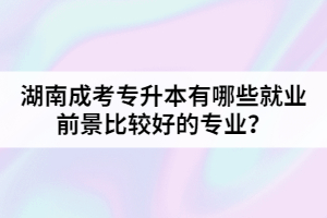 湖南成考專升本有哪些就業(yè)前景比較好的專業(yè)？