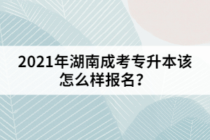 2021年湖南成考專升本該怎么樣報(bào)名？