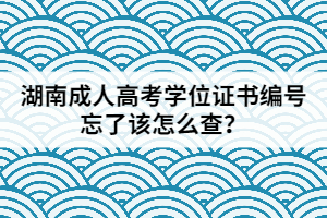 湖南成人高考學(xué)位證書編號忘了該怎么查？