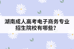 湖南成人高考電子商務(wù)專業(yè)招生院校有哪些？