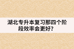 湖北專升本復(fù)習(xí)那四個(gè)階段效率會(huì)更好？