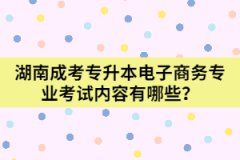 湖南成考專升本電子商務(wù)專業(yè)考試內(nèi)容有哪些？