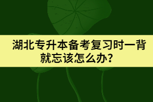 湖北專(zhuān)升本備考復(fù)習(xí)時(shí)一背就忘該怎么辦？