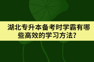 湖北專(zhuān)升本備考時(shí)學(xué)霸有哪些高效的學(xué)習(xí)方法？