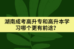 湖南成考高升專和高升本學習哪個更有前途？