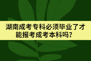 湖南成考?？票仨毊厴I(yè)了才能報考成考本科嗎？