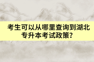 考生可以從哪里查詢到湖北專升本考試政策？