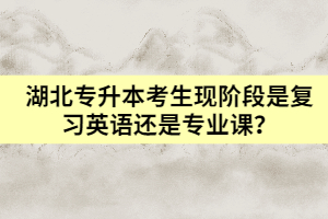 湖北專升本考生現(xiàn)階段是復(fù)習(xí)英語還是專業(yè)課？