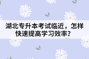 湖北專升本考試臨近，怎樣快速提高學習效率？