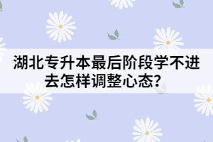 湖北專升本最后階段學(xué)不進(jìn)去怎樣調(diào)整心態(tài)？