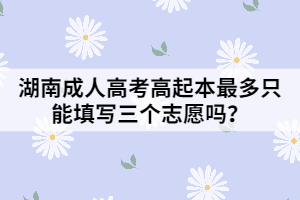 湖南成人高考高起本最多只能填寫三個(gè)志愿嗎？