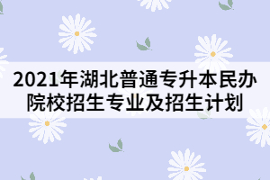 2021年湖北普通專升本民辦院校招生專業(yè)及招生計劃