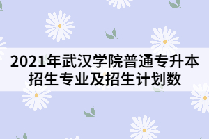 2021年武漢學(xué)院普通專(zhuān)升本招生專(zhuān)業(yè)及招生計(jì)劃數(shù)