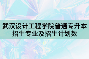 2021年武漢設(shè)計(jì)工程學(xué)院普通專升本招生專業(yè)及招生計(jì)劃數(shù)