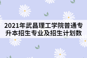 2021年武昌理工學(xué)院普通專升本招生專業(yè)及招生計劃數(shù)