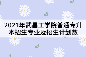 2021年武昌工學(xué)院普通專升本招生專業(yè)及招生計劃數(shù)