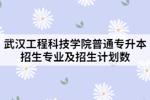 2021年武漢工程科技學院普通專升本招生專業(yè)及招生計劃數