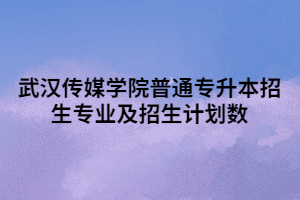 2021年武漢傳媒學(xué)院普通專升本招生專業(yè)及招生計(jì)劃數(shù)