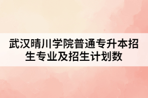 2021年武漢晴川學院普通專升本招生專業(yè)及招生計劃數