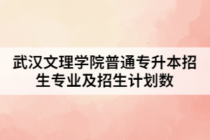 2021年武漢文理學(xué)院普通專升本招生專業(yè)及招生計劃數(shù)