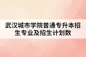 2021年武漢城市學(xué)院普通專升本招生專業(yè)及招生計劃數(shù)