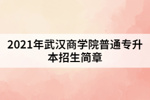 2021年武漢商學(xué)院普通專升本招生簡章