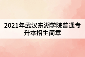 2021年武漢東湖學(xué)院普通專升本招生簡(jiǎn)章