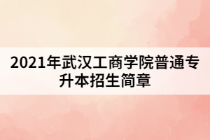 2021年武漢工商學院普通專升本招生簡章