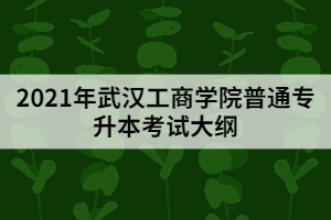 2021年武漢工商學(xué)院普通專升本《計(jì)算機(jī)科學(xué)與技術(shù)專業(yè)》考試大綱