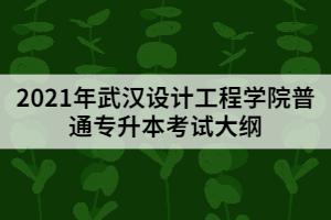 2021年武漢設(shè)計(jì)工程學(xué)院普通專升本《動(dòng)畫造型基礎(chǔ)與設(shè)計(jì)》考試大綱