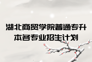 2021年湖北商貿(mào)學(xué)院2021年普通專升本各專業(yè)招生計劃