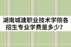 湖南城建職業(yè)技術(shù)學(xué)院2021年各招生專業(yè)學(xué)費(fèi)是多少？