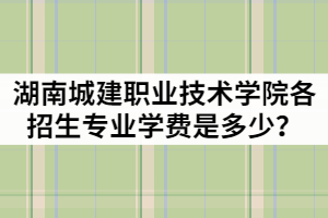 湖南城建職業(yè)技術(shù)學(xué)院2021年各招生專業(yè)學(xué)費(fèi)是多少？