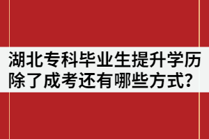 湖北?？飘厴I(yè)生提升學(xué)歷除了成考還有哪些提升方式？