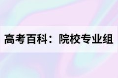 高考百科：院校專業(yè)組