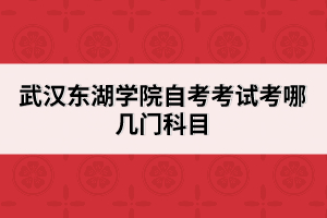 武漢東湖學(xué)院自考考試考哪幾門科目