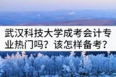 武漢科技大學(xué)成考會計專業(yè)熱門嗎？該怎樣備考？