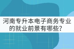 河南專升本電子商務(wù)專業(yè)的就業(yè)前景有哪些？