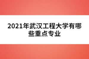 2021年武漢工程大學(xué)有哪些重點專業(yè)