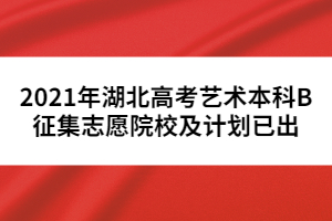 2021年湖北高考藝術(shù)本科B征集志愿院校及計(jì)劃已出