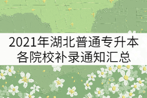 2021年湖北普通專升本各院校補錄通知匯總