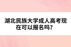 湖北民族大學成人高考現(xiàn)在可以報名嗎？