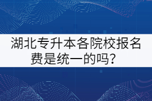 湖北專升本各院校的報名費是統(tǒng)一的嗎？